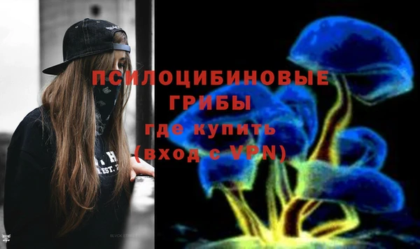 ALPHA-PVP Алексеевка