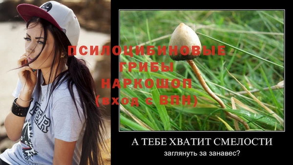 шишки Абинск