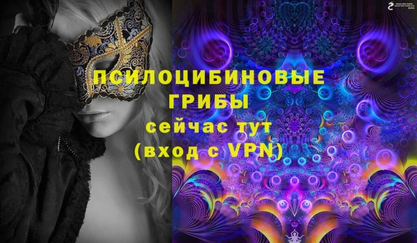 spice Алексин