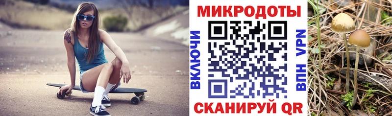 дарнет шоп  Опочка  Псилоцибиновые грибы GOLDEN TEACHER 