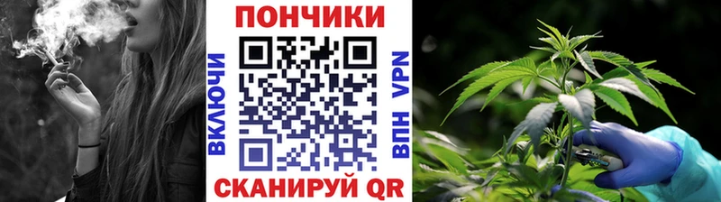 как найти наркотики  Опочка  Марихуана планчик 